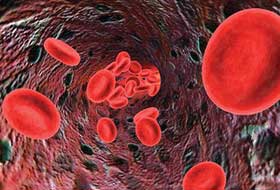 اخبار,اخبار علمی, تشخیص سرطان با آزمایش خون 