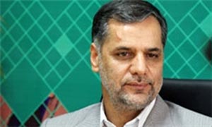 سیدحسین نقوی حسینی, سخنگوی کمیسیون امنیت ملی