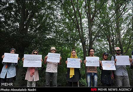 اخبار,اخبار اجتماعی , تخریب پارک ملی گلستان