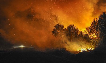 عکسهای جالب,تصاویر جالب,آتش سوزی در جنگل 