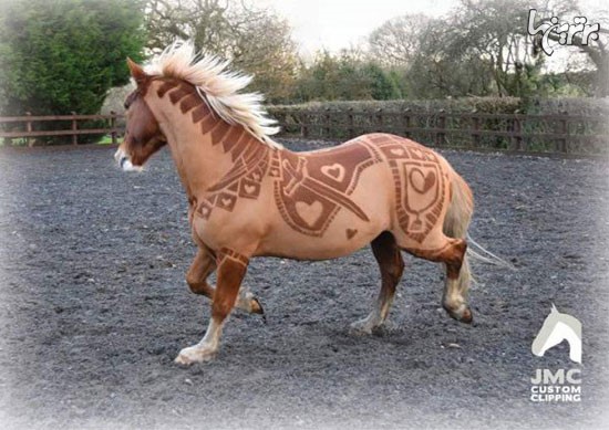 خلق اثار هنری بر روی بدن اسب ها