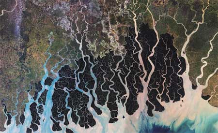 فضانوردان , تصاویر فضایی از زمین,ساندوربان، بنگال غربی