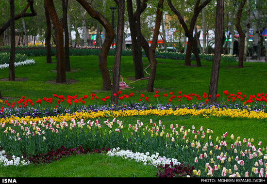 باغ گل‌های پیازی - مشهد