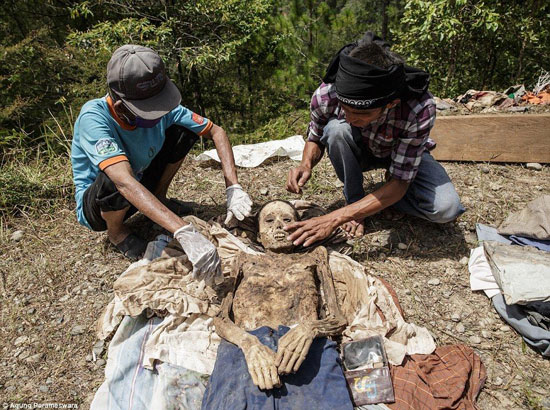 مراسم عجیب نوسازی مردگان در اندونزی !