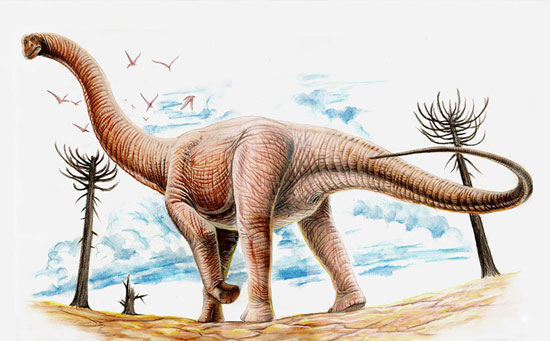 معروف‌ترین دایناسورهای جهان: آرژانتینوساروس
