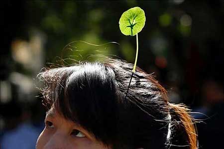 کاشت گیاه روی سر انسان در پکن