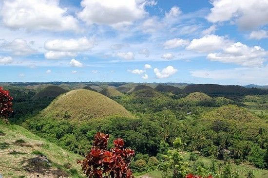 تپه های شکلاتی در فیلیپین +عکس