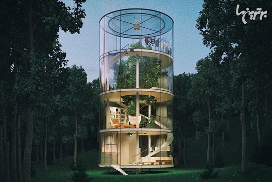 خانه درختی در یک لوله شیشه ای!