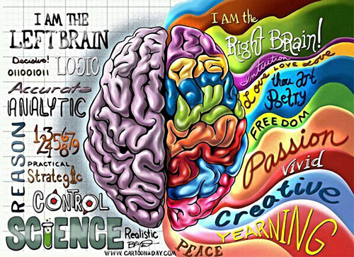 کدام نیمکره مغزتان فعال تر است؟