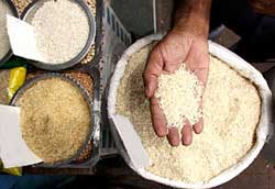 احتمال افزایش ۲۲ درصدی قیمت برنج!