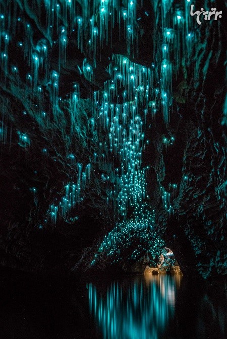 شب پرستاره در غارهای نیوزیلند!