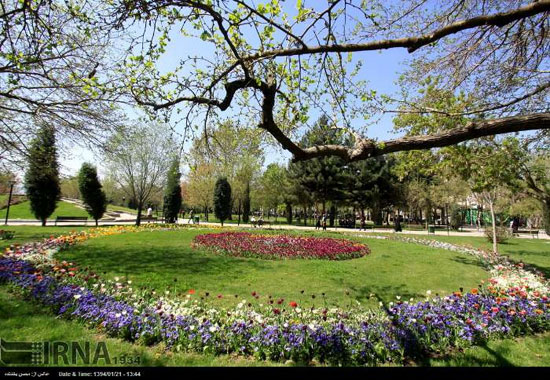 مشهد/جشنواره گلهای پیازی