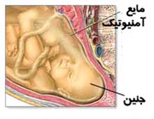 جنین, مراقبت از جنین, مایع دور جنین