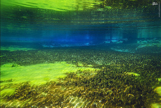 عکس/ شفاف ترین آب جهان اینجاست