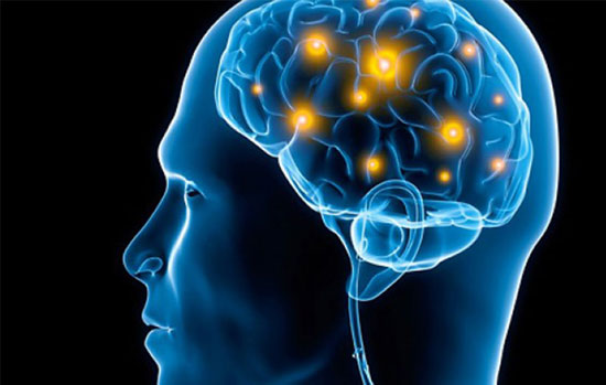 میزان ظرفیت حافظه‌ی مغز انسان مشخص شد