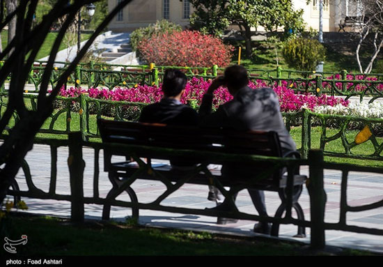 طبیعت بهاری پارک ملت تهران