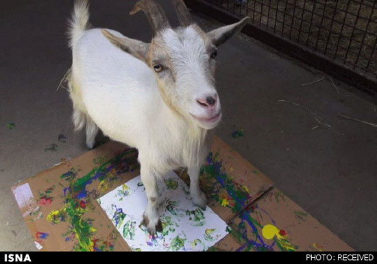 حیواناتی که نقاشی می‌کشند