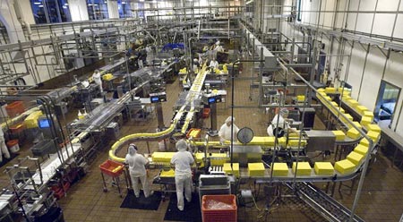 کارخانه تولید پنیر در اورگن، آمریکا
