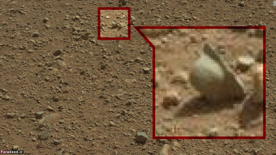 عجیب و حیرت‌انگیز از مریخ!
