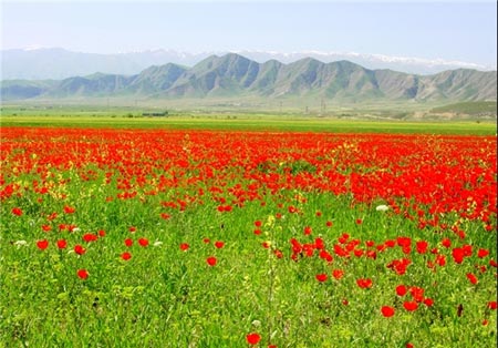 تاجیکستان,جاهای دیدنی تاجیکستان,