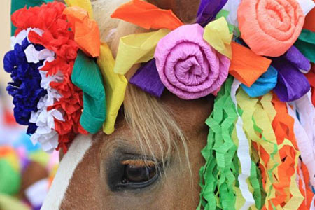   تزئین اسب در جریان فستیوال سنتی- جنوب شرقی جمهوری چک