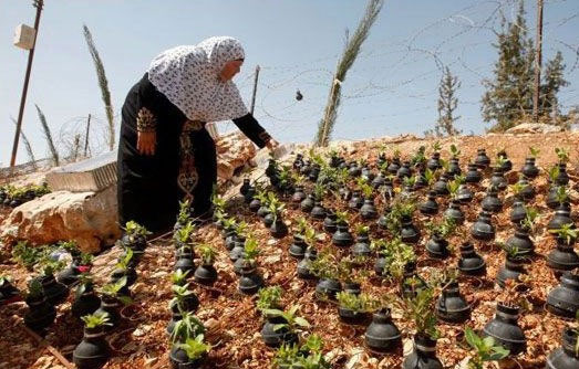 کاشت گل در بمب‌های اسرائیلی +عکس