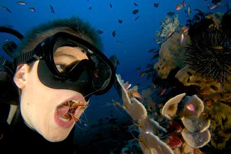 اخبار,اخبار گو.ناگون,جالبترین روش مسواک زدن دندان با موجودات دریایی