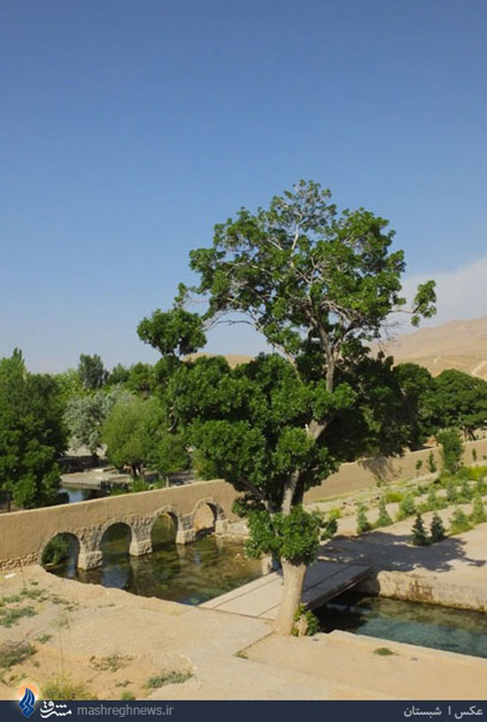 مجموعه تاریخی چشمه علی دامغان