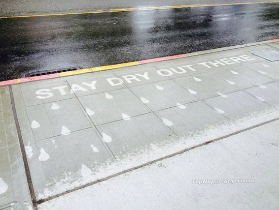 عکس: هنرهای بارانی!