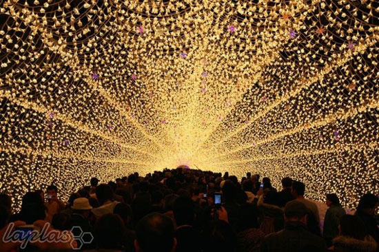 تصاویری حیرت انگیز از تونل روشنایی در ژاپن