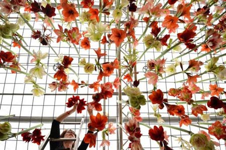    غرفه داران در نمایشگاه گل لندن به دنبال ایجاد جاذبه برای جلب مشتریان هستند-انگلیس