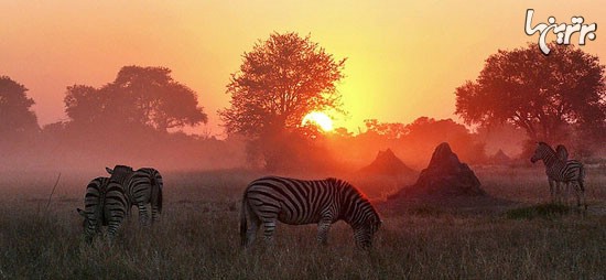 10 جاذبه اصلی کشور بوتسوانا