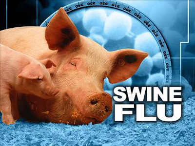 آنفلوآنزای خوکی چیست,آنفلوانزای خوكی