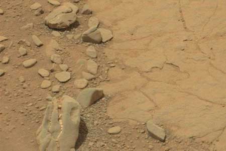 اخبار,اخبار علمی ,دایناسور در مریخ