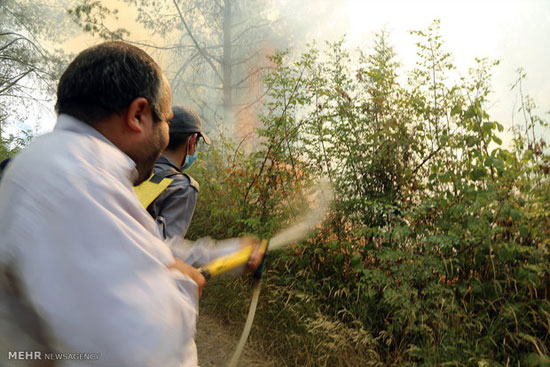 آتش سوزی در اراضی جنگلی روستای توشن گرگان