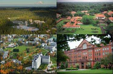 سبزترین دانشگاه های دنیا کدامند