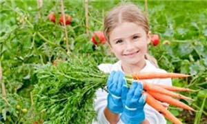 اخبار , اخبار علمی,نحوه خوردن سبزیجات,طرز خوردن سبزیجات کودکان