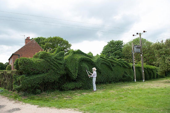 10 سال تلاش برای ساخت مجسمه ای گیاهی +عکس