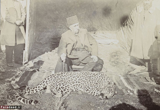مظفرالدین شاه و شکار پلنگ + عکس
