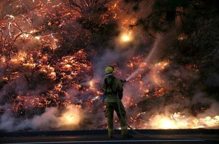 آتش سوزی در جنگل های کالیفرنیا، آمریکا