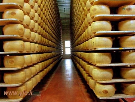 پنیر,بانکی مخصوص عاشقان پنیر