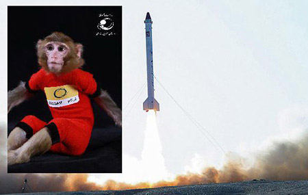 اخبار,اخبار علمی,میمون فضانورد