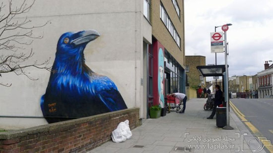 حیوانات روی دیوارهای لندن