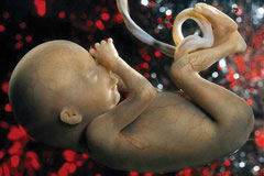 اخبار,اخبار اجتماعی,شرایط جدید سقط جنین