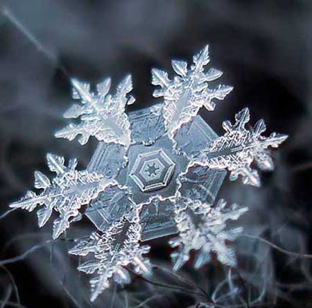 عکاسی میکروسکپی از بلور برف 
