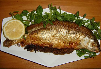 آشنایی با روش های پخت ماهی,انواع پخت ماهی