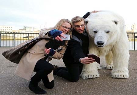 اخبار , اخبار گوناگون,تصاویر خرس قطبی در لندن,خرس قطبی در خیابان لندن