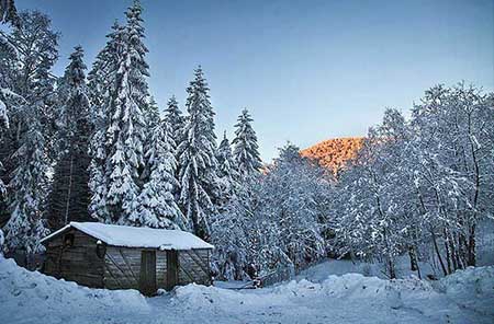تصاویر بسیار جالب و دیدنی از طبیعت زمستانی