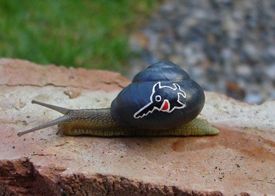 نقاشی روی صدف حلزون