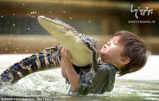 کودک سه ساله مسئول تمساح های باغ وحش!